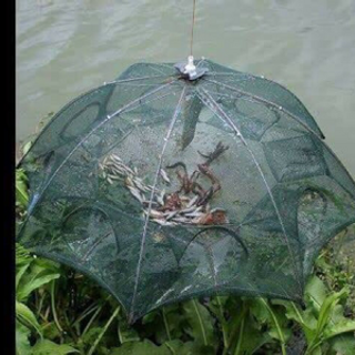 lồng bát quái