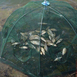 lồng bát quái