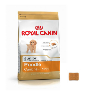 Thức ăn Royal canin dành riêng cho poodle