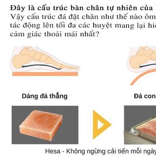 Sỉ Đá Muối Himalaya