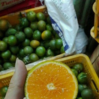 Cam sành chất lượng