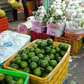 Cam sành chất lượng