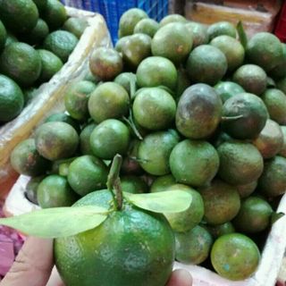 Cam sành chất lượng