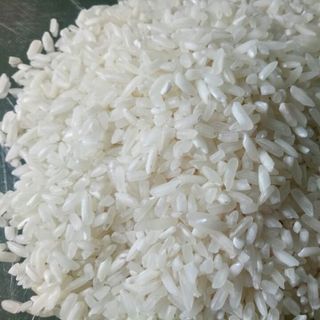 gạo sạch- ngon dùng cho suất ăn công nghiệp