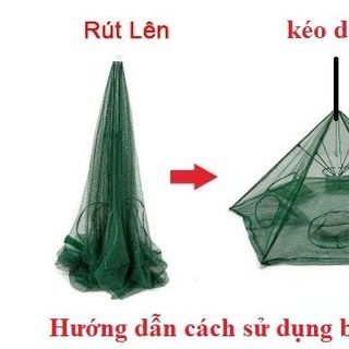 Lồng bát quái đánh bắt cá 6 cửa