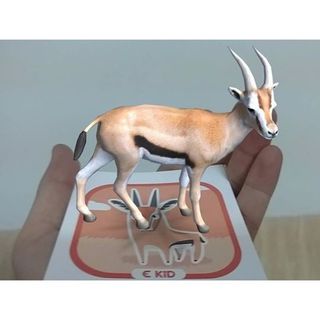 Bộ Thẻ Học Và Chơi Tiếng Anh 3D Cho Bé Ekid
