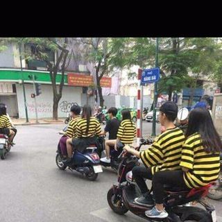 áo phông kẻ