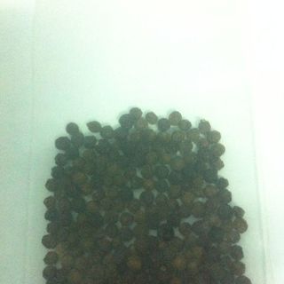 HẠT TIÊU MINH ANH TÂY NGUYÊN 500GR Tặng cối xay tiêu