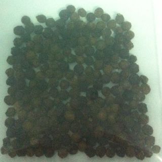 HẠT TIÊU MINH ANH TÂY NGUYÊN 500GR Tặng cối xay tiêu