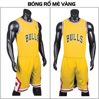 Mẫu bóng rổ người lớn - BULLS đầu bò