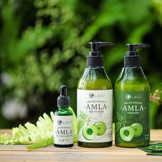 Dầu gội ORGANIC AMLA – SUÔN MỀM