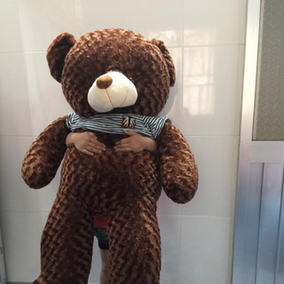 Gấu Teddy Đồng Tháp Giá Rẻ