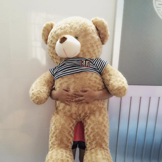 Gấu Teddy Đồng Tháp Giá Rẻ