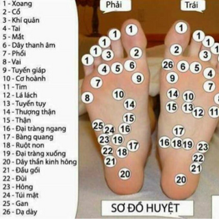 Đá muối hồng Himalaya