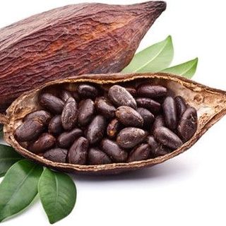 Chuyên cung cấp lượng lớn sỉ lẻ Hạt cacao chưa rang và Hạt cacao đã rang Figo giá sỉ