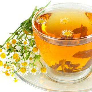 Trà Hoa cúc Trà Hồng Sâm Hoa Cúc Hoa Tam Thất