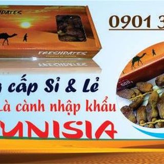 Quả Chà Là nguyên cành Tunisia