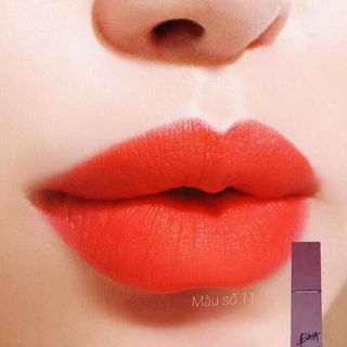 bibia vỏ nâu