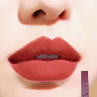 bibia vỏ nâu