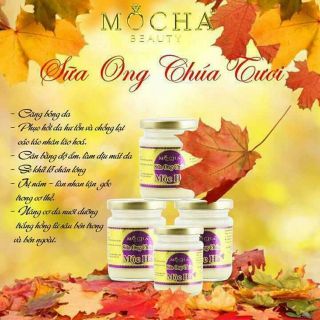SỮA ONG CHÚA MỘC HÀ