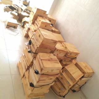 Chuyên sỉ Đá muối Himalaya