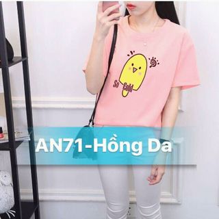 áo thun in nhiệt nhiều hình thun cực chất