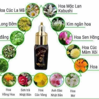 Tinh chất nám Linh Hương