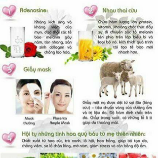 Mặt nạ nhau thai cừu -Placenta Ample Mask