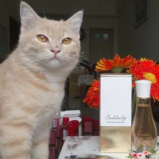 Nước hoa Suddenly Madame Glamour từ Đức au 100