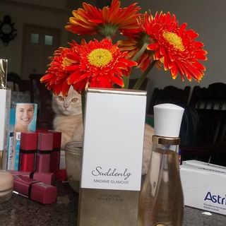 Nước hoa Suddenly Madame Glamour từ Đức au 100