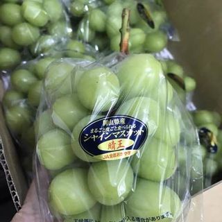 Nho mẫu đơn