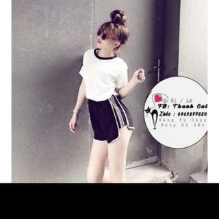 Bộ phối viền chữ chất Tici