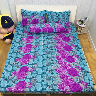 drap thun Hàn Quốc