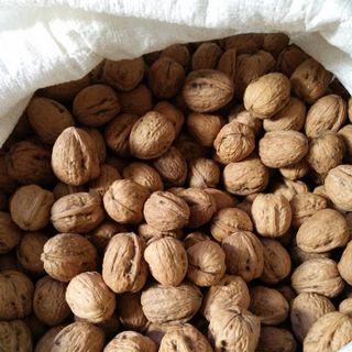Quả Óc Chó MỸ HÌNH TIM Bán Buôn