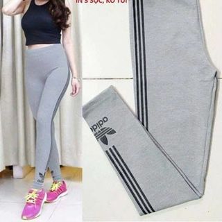 Quần Legging in sọc
