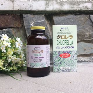 Tảo lục FINE JAPAN CHLORELLA Tảo lục Chlorella
