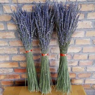HOA KHÔ OẢI HƯƠNG LAVENDER