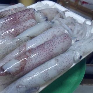 Đại lý chuyên cung cấp cá cơm khô mực khô mực tươi Hàng tại biển Bình Minh Quảng Nam