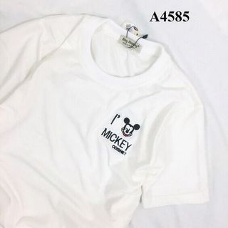 ÁO THUN COTTON giá sỉ