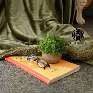 Chăn lông cừu ultimate màu xanh rêu