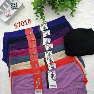 quần 5701