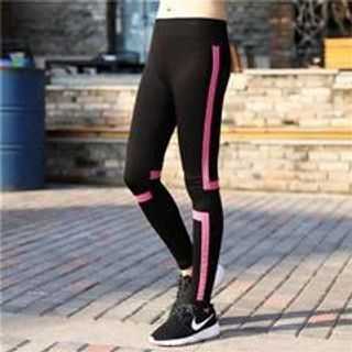 quần tập dài phối màu