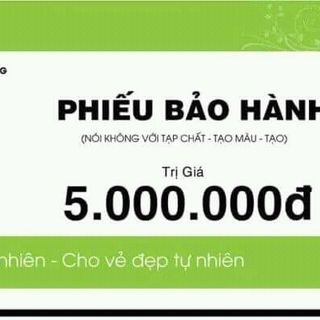 Bột Trà Xanh Hoài Mơ