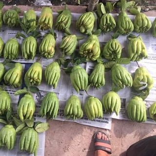 Phật Thủ đẹp Đắc Sở- Hà Nội