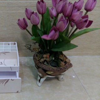 kệ mỹ phẩm