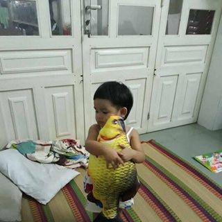 gối cá chép