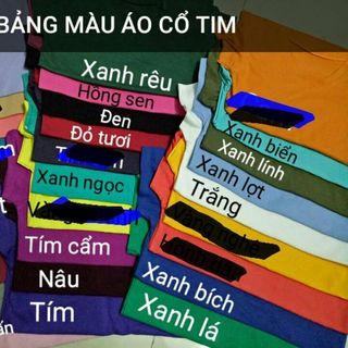 Áo thun trơn