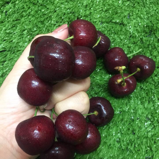 hoa quả