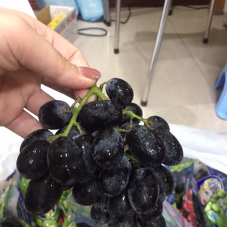 hoa quả