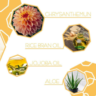 WHITENING CREAM - Hoa cúc vàng